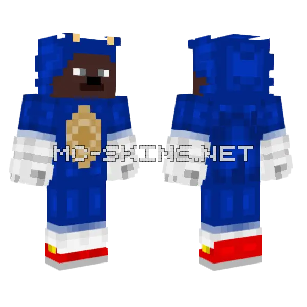 Steve Brown Of Sonic Minecraft skin, front and back