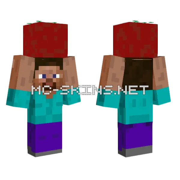 Steve Holding Tomato Minecraft skin, front and back