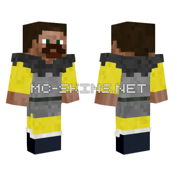 Steve Potion Coven Minecraft skin, front and back