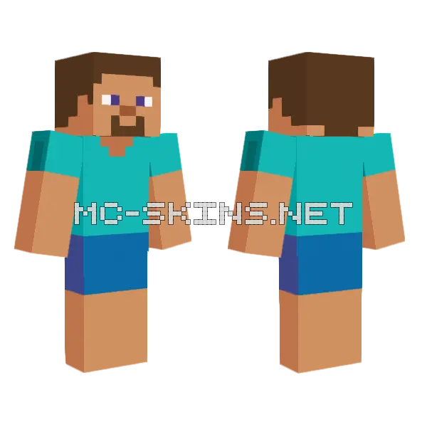 Steve With Brown Hat Minecraft skin, front and back