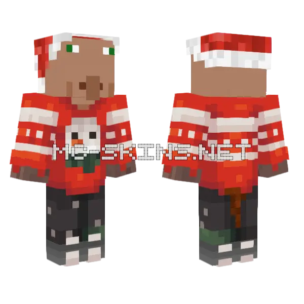 Stinky Christmas Parker Minecraft skin, front and back