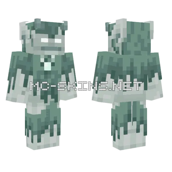 Stray Cat Minecraft skin, front and back