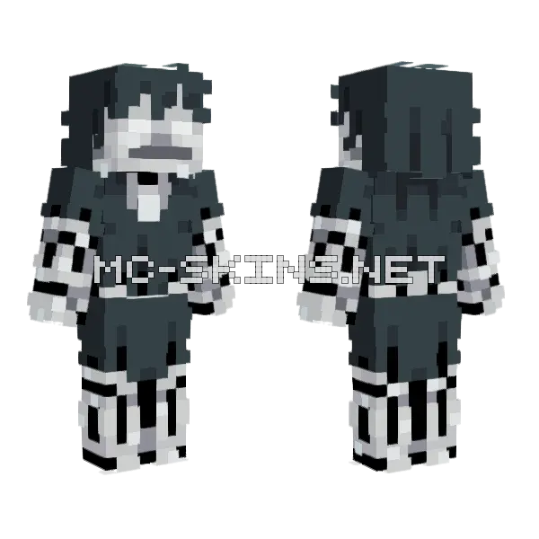 Stray Minecraft skin, front and back