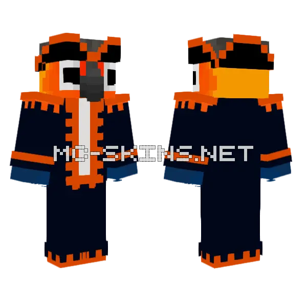 Sunconurebird Pirate Minecraft skin, front and back