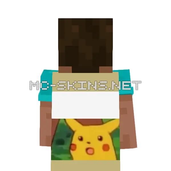 Surprised Pikachu cape, outside and lining