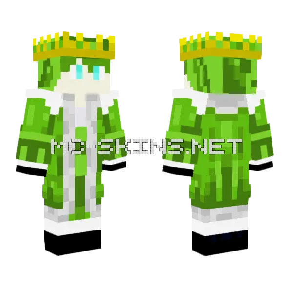 Swiftcat King Minecraft skin, front and back