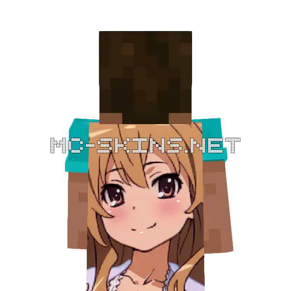 Taiga Aisaka cape, outside and lining