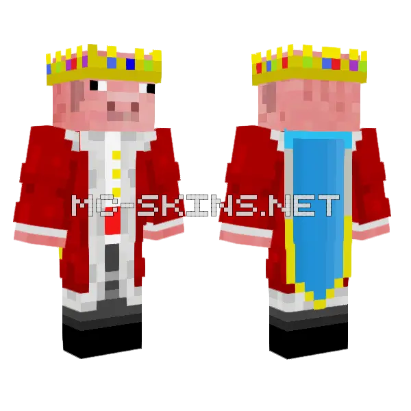 Technoblade Minecraft skin, front and back
