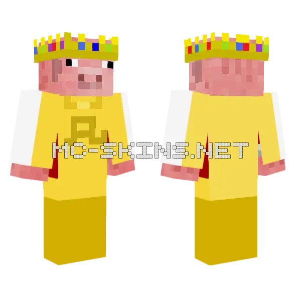 Technoblade Designer Brand Minecraft skin, front and back