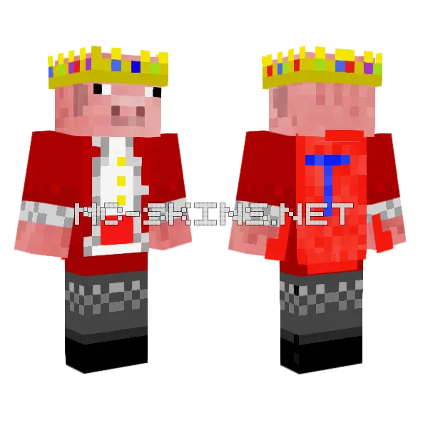 Technoblade Never Dies Minecraft skin, front and back