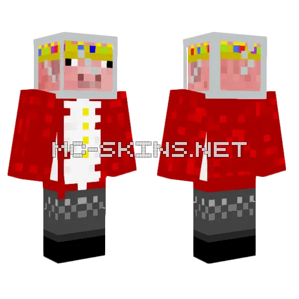 Technoblade Space Suit Minecraft skin, front and back