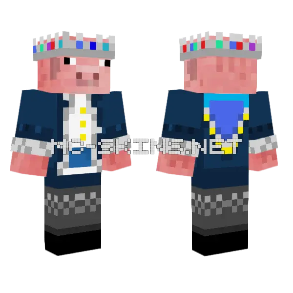 Technolarp Skin Minecraft skin, front and back