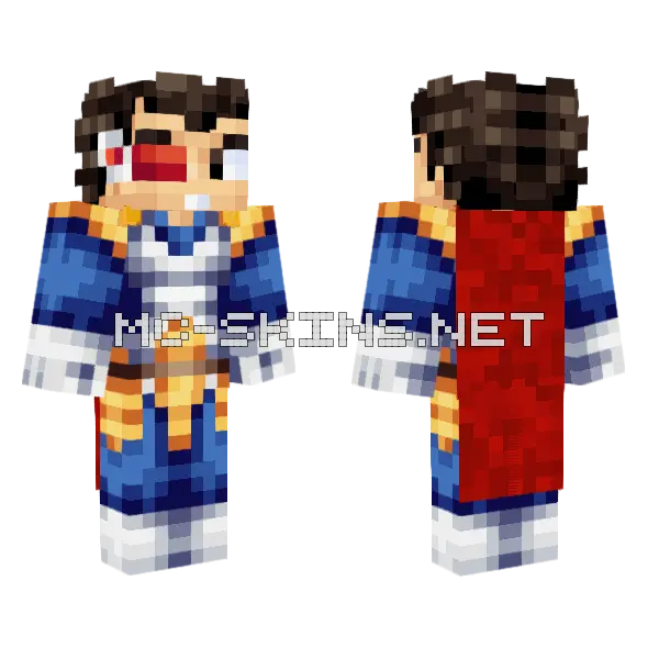 Teen Vegeta Minecraft skin, front and back