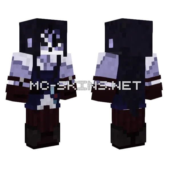 Teile Minecraft skin, front and back