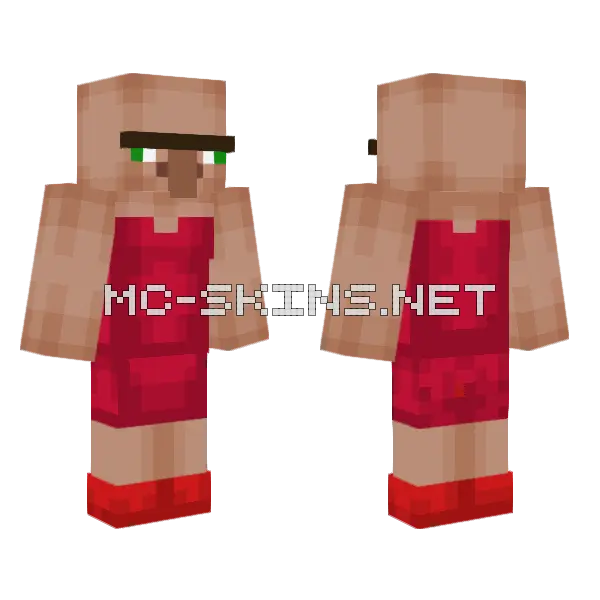 Terminator Villager X Minecraft skin, front and back
