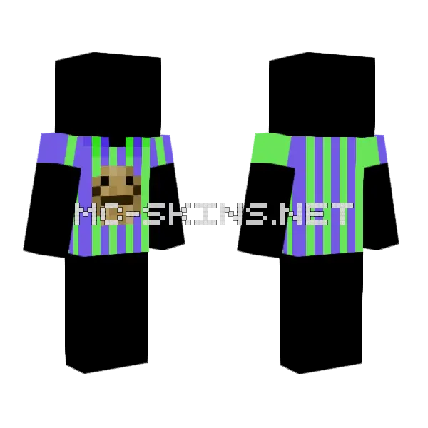 Test Design Not Finished Minecraft skin, front and back