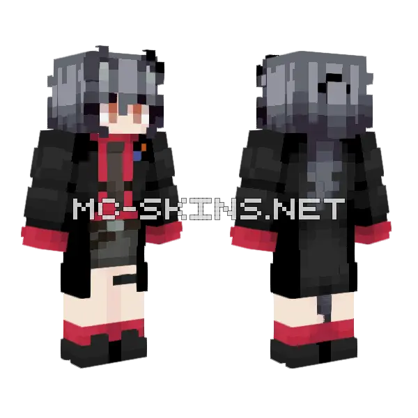 Texas Skin Minecraft skin, front and back