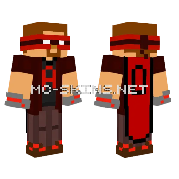 The Assassin Final Form Minecraft skin, front and back