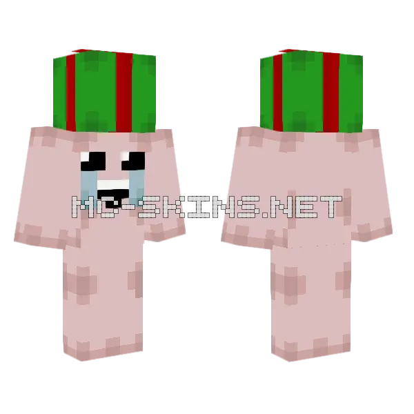 The Binding Of Isaac Isaac With Mystery Gift Minecraft skin, front and back