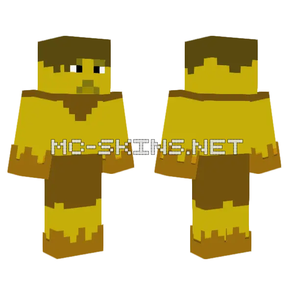 The Earth Guardian Minecraft skin, front and back