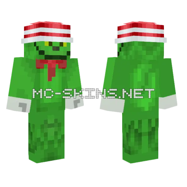 The Grinch Cat Attire Minecraft skin, front and back