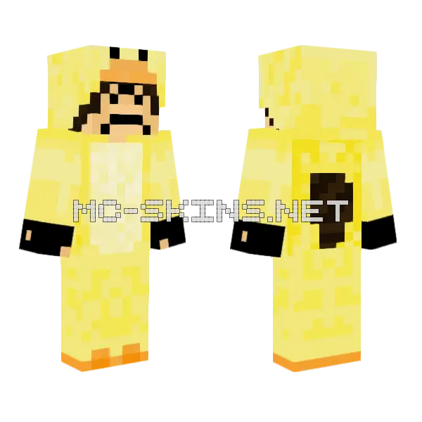 The Raccoon Boy Duck Minecraft skin, front and back