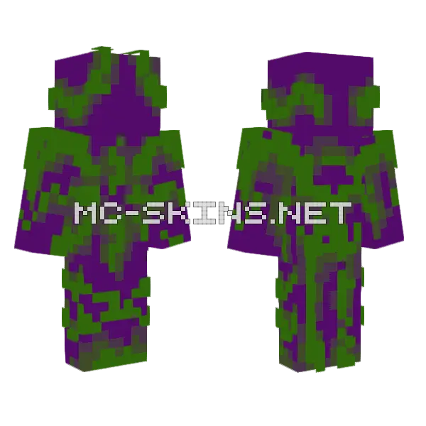 The What The Hell Prikoldas Skin Minecraft skin, front and back