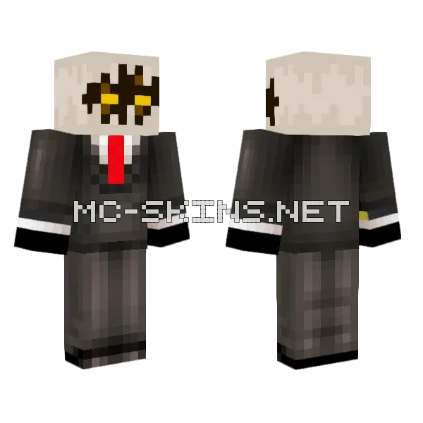This Idiot Idk Minecraft skin, front and back