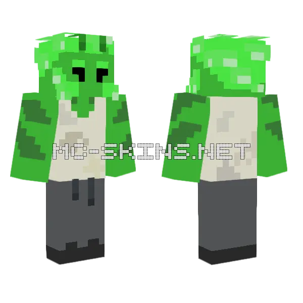 Thr Folv Oh Minecraft skin, front and back