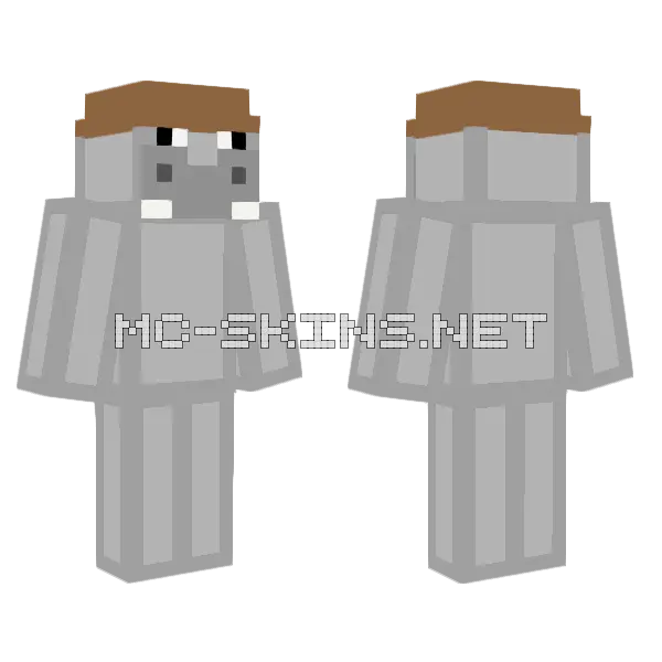 Tis3000 No Ears Minecraft skin, front and back