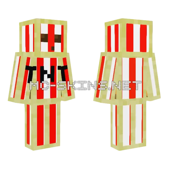 Tnt Sulfur Cube Minecraft skin, front and back