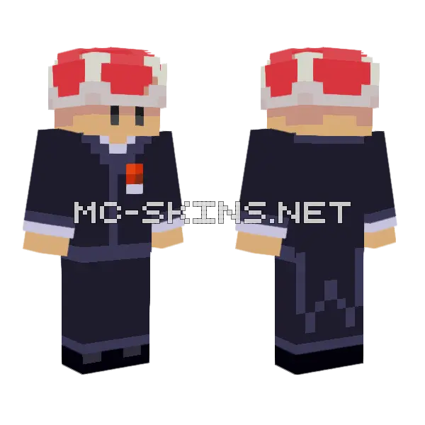 Toad In A Suit Minecraft skin, front and back