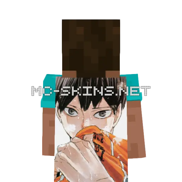 Tobio Kageyama cape, outside and lining