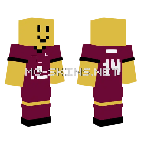 Tol14 Minecraft skin, front and back