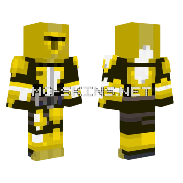 Trovethegamer Bee Skin Minecraft skin, front and back