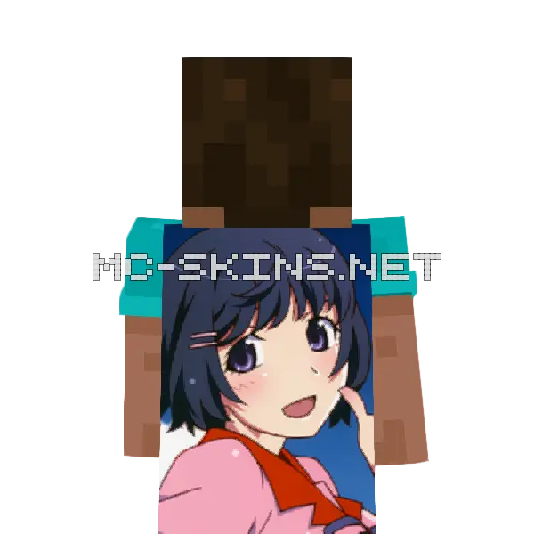 Tsubasa Hanekawa cape, outside and lining