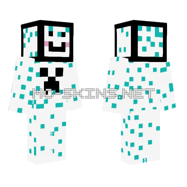 Turtle Egg Boy Minecraft skin, front and back