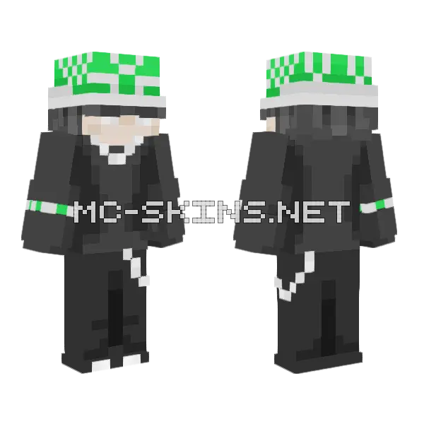 Turtle Hat Minecraft skin, front and back