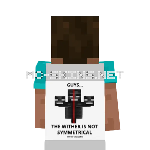 Unplayable Minecraft cape worn on a player