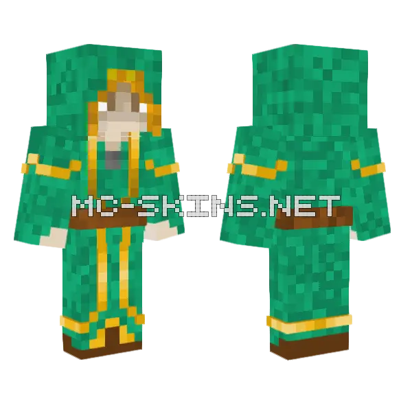Update 2 0 Minecraft skin, front and back