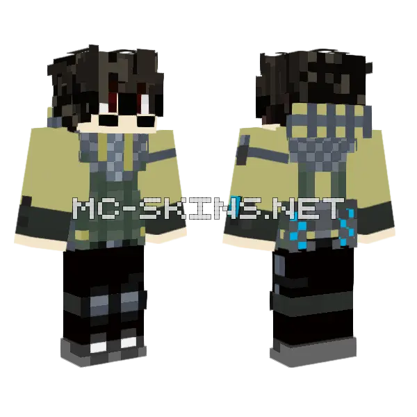 Update Skin Minecraft skin, front and back