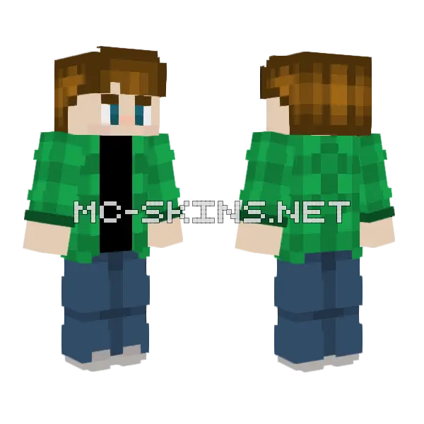 Updated Version of Bonseepoe Minecraft skin, front and back