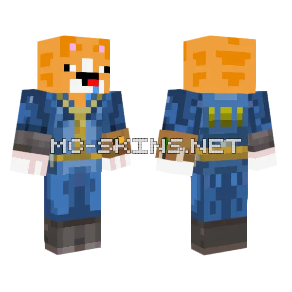 Vault 111 Orange Cat Minecraft skin, front and back