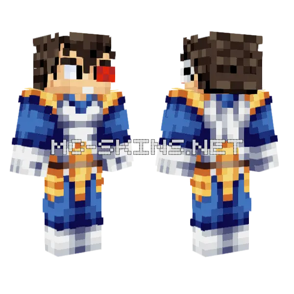 Vegeta Blue Minecraft skin, front and back