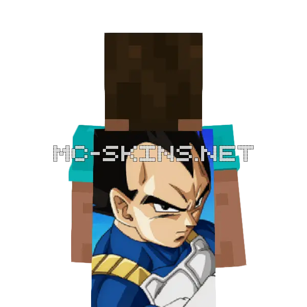 Vegeta cape, outside and lining