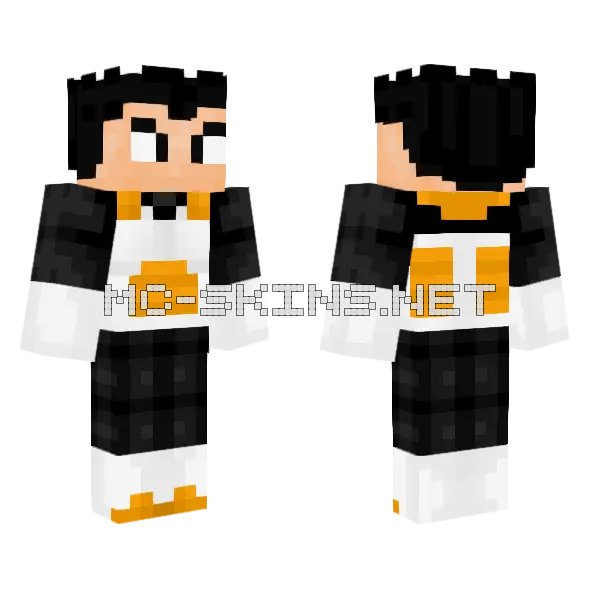 Vegeta Del Tiempo Minecraft skin, front and back