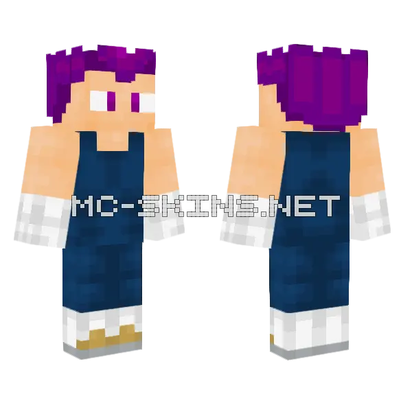 Vegeta Dios De La Destruccion2 Minecraft skin, front and back
