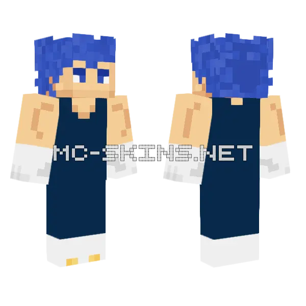 Vegeta Evo Minecraft skin, front and back