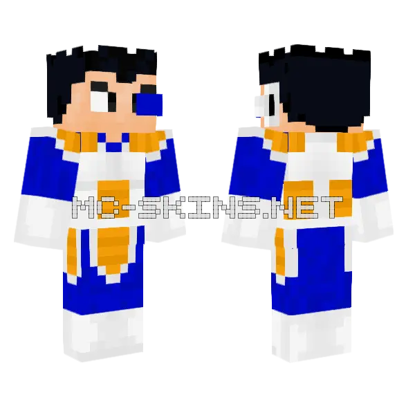 Vegeta Explorador Minecraft skin, front and back