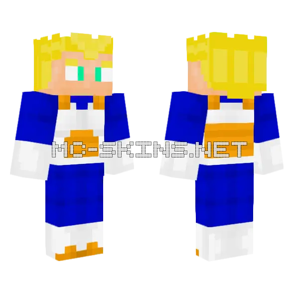 Vegeta SSN Fase1 Minecraft skin, front and back